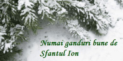 Salon Nomasvello ureaza La Multi Ani