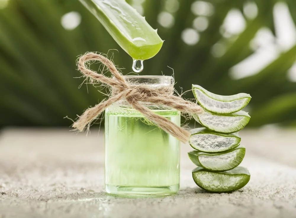 night cream with aloe vera Night Cream Skin Renewing main image 0