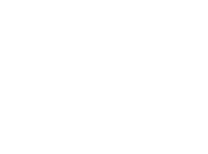 Logo Nomasvello Romania